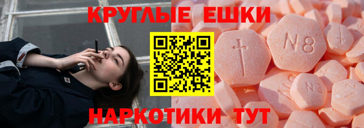 Экстази Philipp Plein  Вход с VPN  Минеральные Воды 