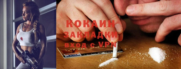 индика Богородск