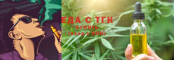 индика Богородск
