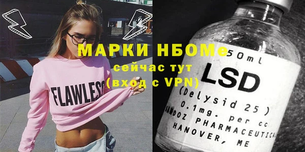 индика Богородск