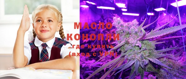 индика Богородск