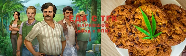 индика Богородск