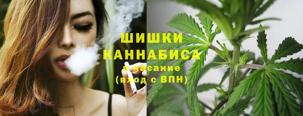 индика Богородск
