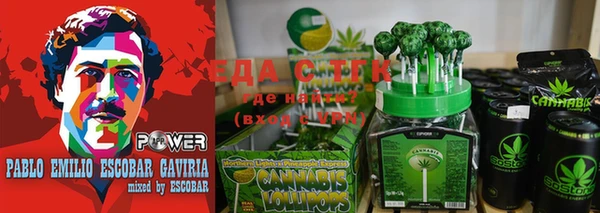 индика Богородск