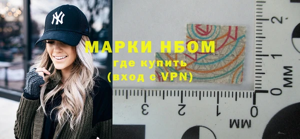 индика Богородск