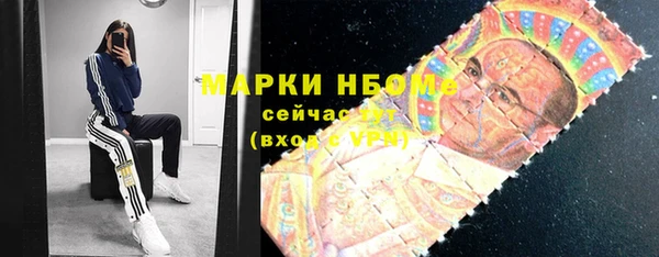 индика Богородск