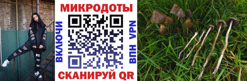 Псилоцибиновые грибы GOLDEN TEACHER  купить наркотик  Минеральные Воды 
