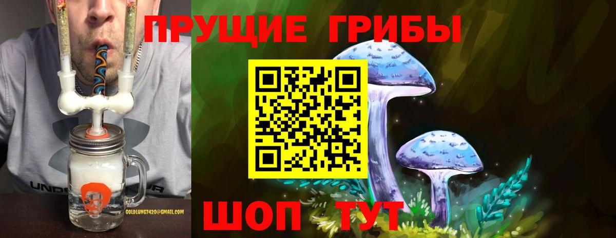 Галлюциногенные грибы мухоморы  сколько стоит  Вход с VPN  Минеральные Воды  Псилоцибиновые грибы мухоморы 